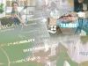 Social Value Portal Expert Eye MAIN